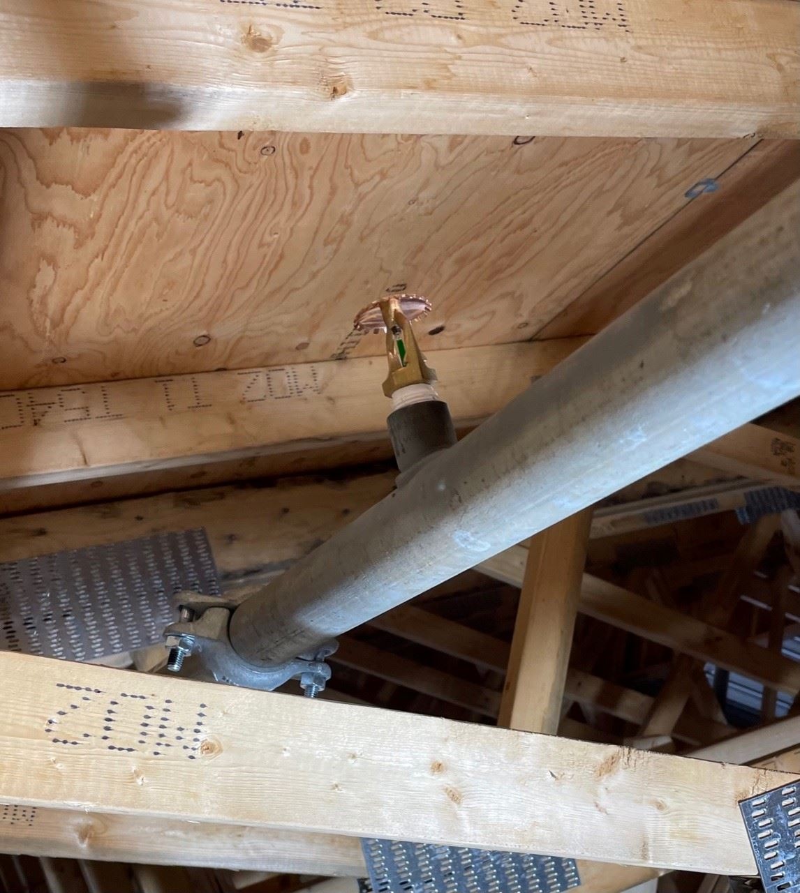 Fire Protection Pipe in Filter Room